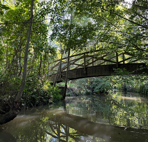 Photos du Marais Poitevin